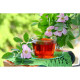 Thé rouge Rooibos vrac 30 gr, bio