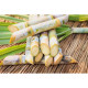 Sucre morceaux 500 gr, bio