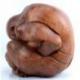 Yogi en bois massif sculpté main 15cm