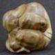 Yogi Libérateur en Bois massif Brut sculpté main 15cm