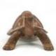 Grande statue Tortue de terre 30cm en bois massif sculpté main