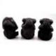 Les 3 singes "secret du bonheur". Statuettes en bois noir 10cm