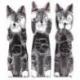 Lot de 3 petits chats gris 15cm. Statuettes en bois "Secret du bonheur"