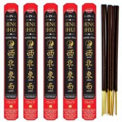 Encens Feng Shui 5 en 1. Lot de 100 bâtons | HEM