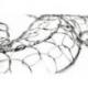 Gecko Margouillat décoration murale en métal 50cm
