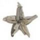 Etoile de mer en bois flotté 20x20cm - Décoration murale