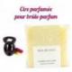 Fondants parfumés senteur "Noix de Coco" | Drake Home Fragrances