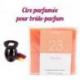Fondants parfumés senteur "Papaye" | Drake Home Fragrances