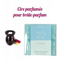 Fondants parfumés senteur "Caraïbes" | Drake Home Fragrances