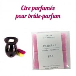 Fondants parfumés senteur "Figuier" | Drake Home Fragrances