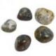 Agate Dendritique - Pierres roulées 40/50g
