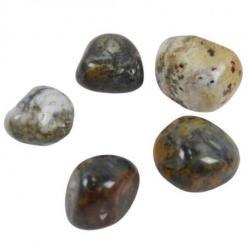 Agate Dendritique - Pierres roulées 40/50g