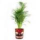Cache-pot "Tiki" en bois motif fleur
