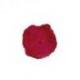 Rouge à lèvres Bio 4.5g - Vieux Rose - Benecos