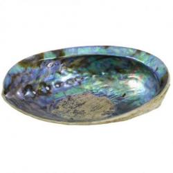 Coquille d'Ormeau Arc-en-Ciel / Abalone naturelle 12-14cm