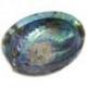 Coquille d'Ormeau Arc-en-Ciel / Abalone naturelle 12-14cm
