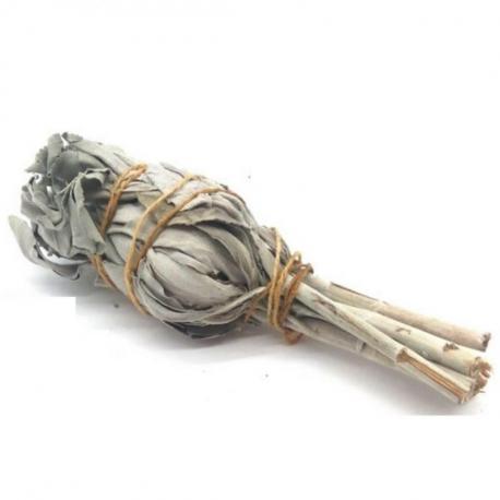 Sauge Blanche de Californie - Torche 15/20g Salvia Apiana Sauge Blanche de Californie - Torche 15/20g Salvia Apiana