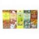 Assortiment d'encens "Fruits Exotiques" 5 parfums. Lot de 100 bâtonnets marque HEM.