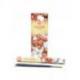 Assortiment d'encens "Fruits Exotiques" 5 parfums. Lot de 100 bâtonnets marque HEM.