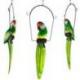 Perroquet en Bois sur Perchoir à Suspendre - Coloris Vert et Jaune