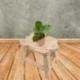 Tabouret / Porte-Plante en bois motif Tortue 30cm