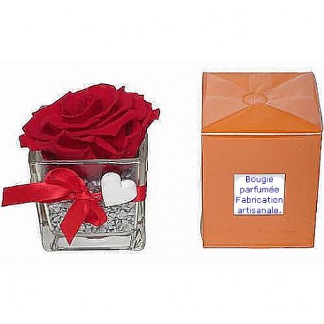Rose rouge lyophilisée et bougie parfumée. Rose rouge lyophilisée et bougie parfumée.