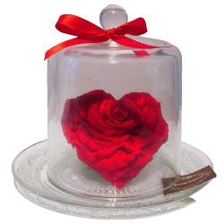Rose rouge éternelle en forme de cœur.