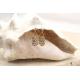 Boucles d'Oreilles Boulonnaises Scintillantes