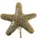 Patère murale "Étoile de Mer" 1 crochet en laiton
