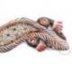 Gecko coquillages Cauris - déco murale en bois 50cm