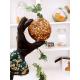 Cookie rocher