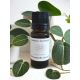 Huile Essentielle de Basilic Exotique