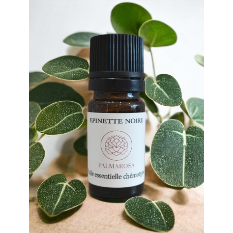 Huile Essentielle d'Epinette Noire Huile Essentielle d'Epinette Noire