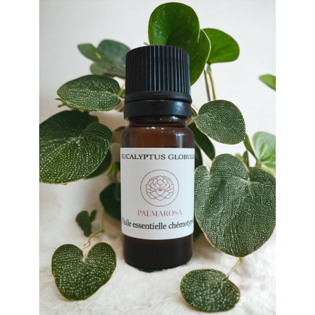 Huile Essentielle d'Eucalyptus Globuleux Huile Essentielle d'Eucalyptus Globuleux