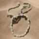 Collier Coquillages Cauris