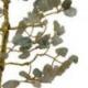 Arbre du Bonheur 20 cm avec pierre Aventurine naturelle
