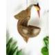 Mangeoire à Oiseaux en Noix de Coco à Suspendre
