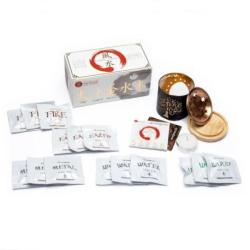 Coffret Feng Shui : Diffuseur Arbre de Vie & Briques d'Encens 5 éléments