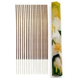 Encens sans charbon au Jasmin 20 bâtons | Terra
