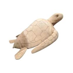 Sculpture Tortue de mer XL 80cm en bois brut