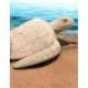 Sculpture Tortue de mer XL 80cm en bois brut
