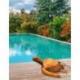 Sculpture Tortue de mer XL 80cm en bois ciré