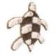 Décoration murale Tortue en Coquillages 25cm