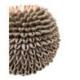 Bougeoir de Bali en Coquillages Cauris ⌀12cm