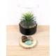 Pack Lithothérapie "Confiance en soi" - Assortiment de 3 pierres naturelles