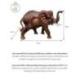 Statue Éléphant d'Afrique XL en bois exotique 70cm | Pièce Unique