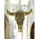 Tête de Buffle sculptée dorée - Décoration murale bohème chic