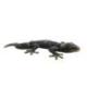 Statue Salamandre / Gecko / Lézard en laiton 50cm
