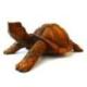 Statue Tortue de terre XL 40cm. Sculpture sur bois artisanale.