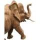 Sculpture Éléphant d'Afrique XL en bois brut 70cm